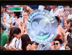 IM体育数据分析平台-关于法网翻盘温网，阿尔卡拉斯状态火热的信息