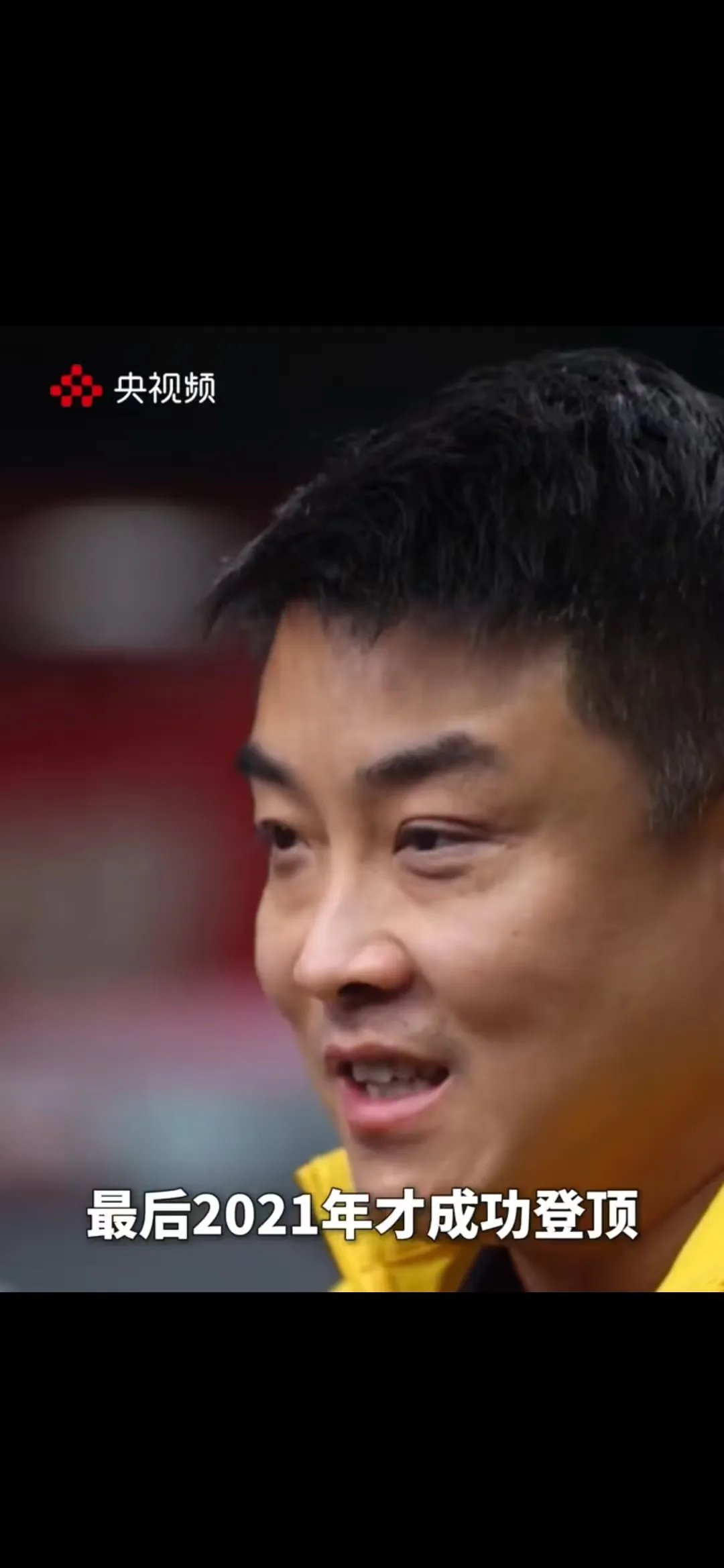 IM体育-比利时乒乓球队爆冷日本乒乓球队,王皓绝境逆转的简单介绍