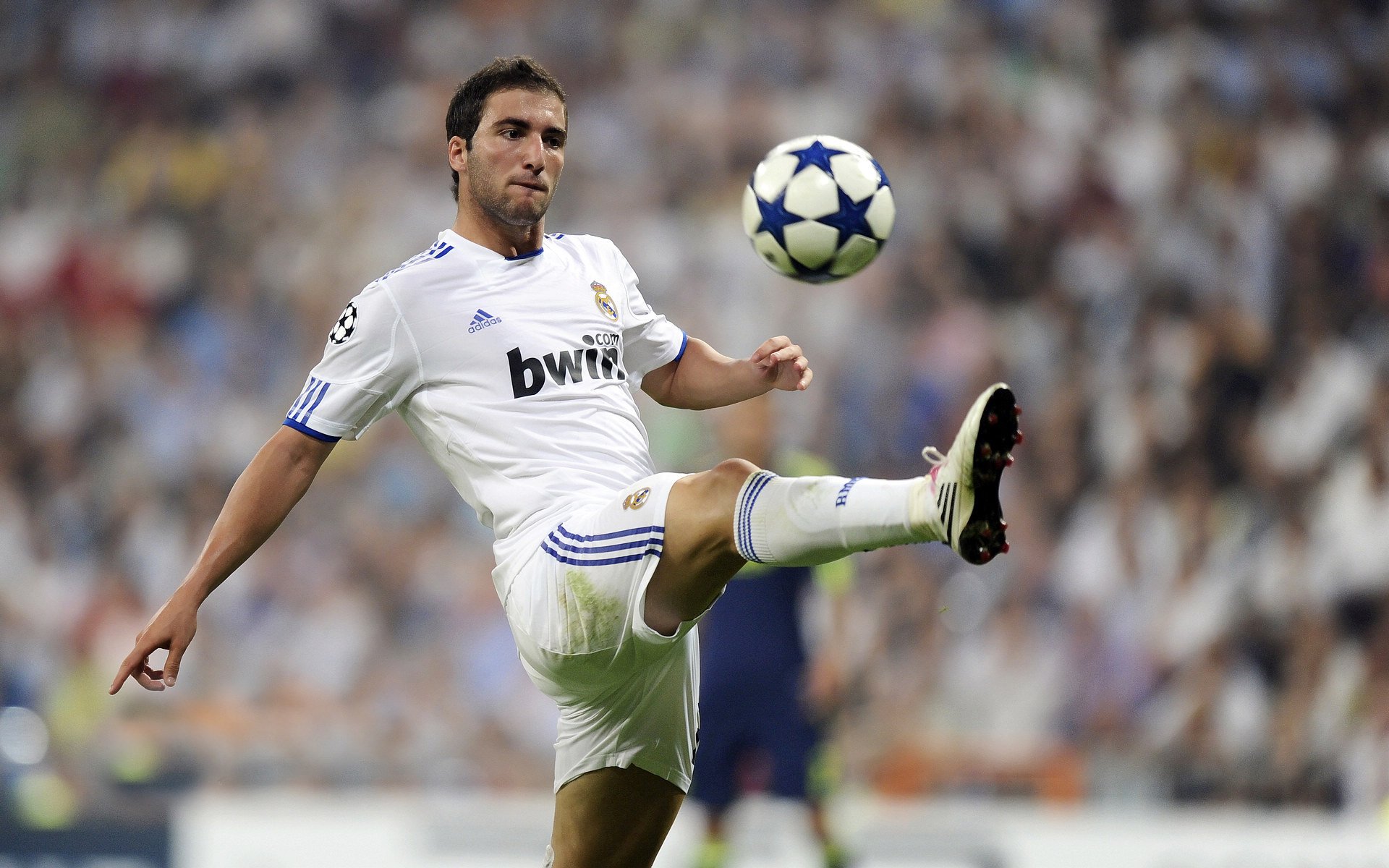 IM体育平台-莱万引擎轰鸣，F1年度争冠之夜的团队交响曲